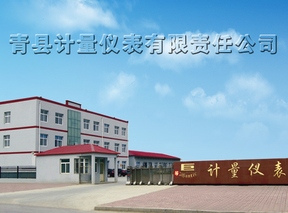 青縣計量儀表有限責任公司